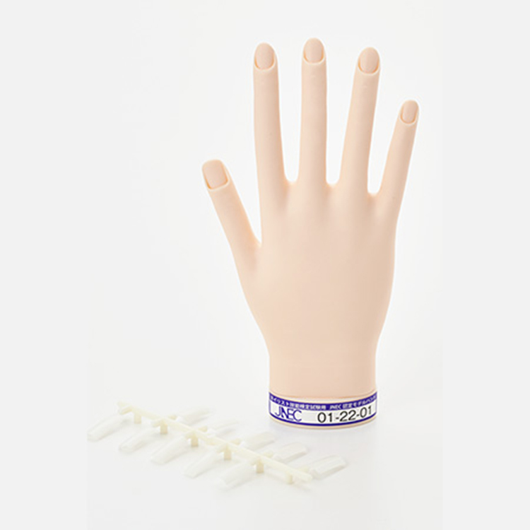 STモデルハンド 右手 | Nail Labo Online Shop ネイルラボ オンライン
