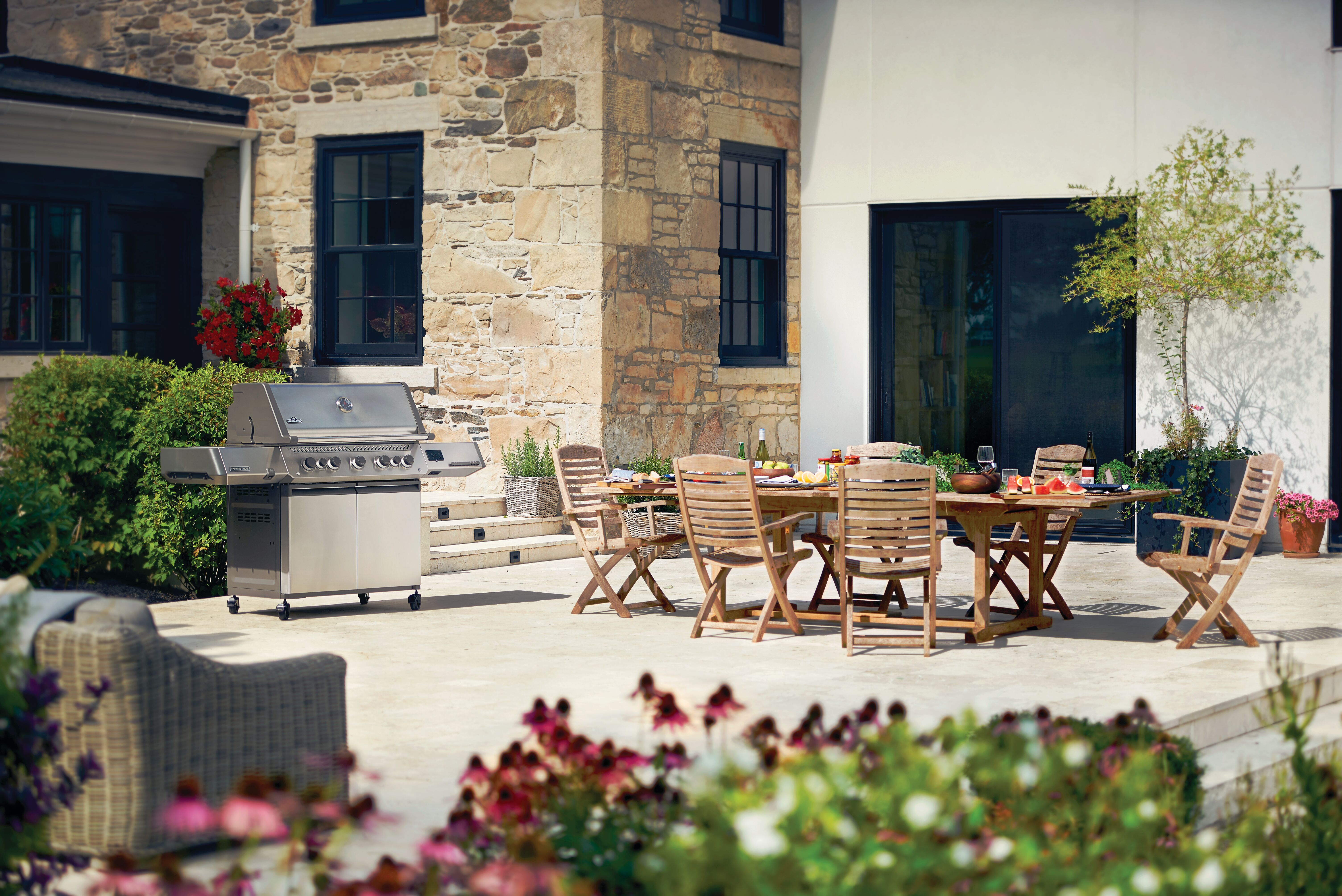 Prestige 665 Connected RSIB (P665VXRSIBPSS) | Napoleon