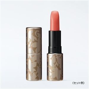 商品タイプから探す/ポイントメイク/リップ / ナリスオンラインストア