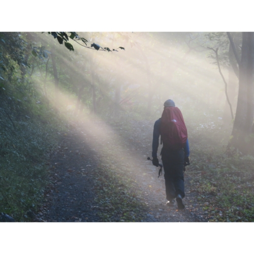 グレートトラバース DVD全8枚セット