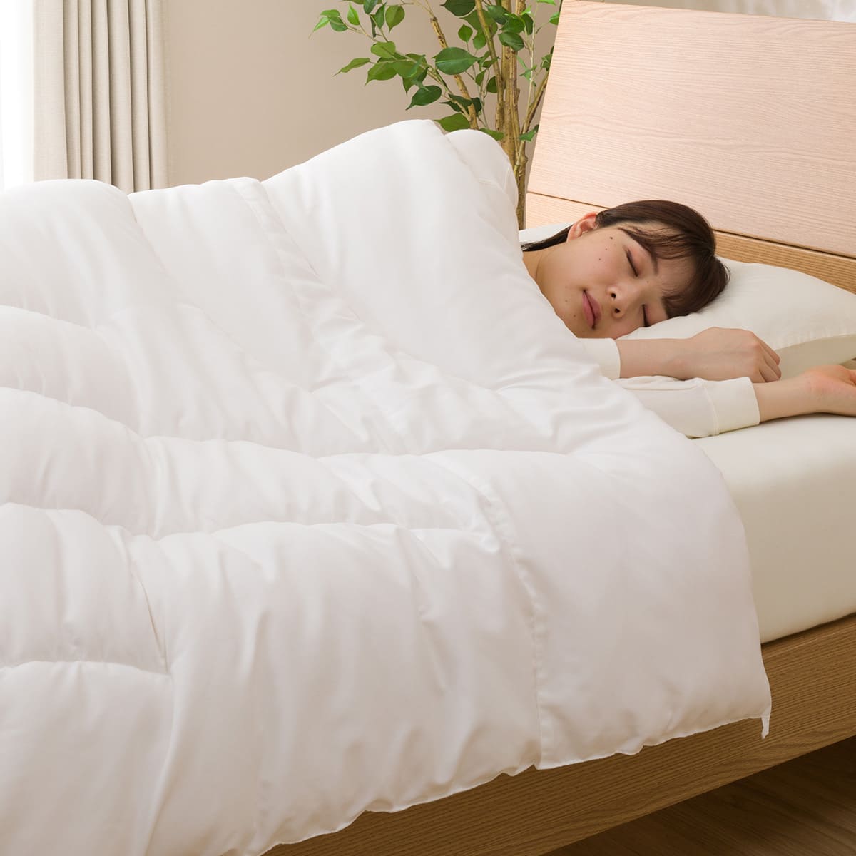 ちょうど良い 温度調整 掛け布団 シングル(K2424 S) | ニトリネット