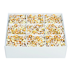 せんねん灸オフ 伊吹(レギュラーきゅう) 2000点入 - ニットクSHOP