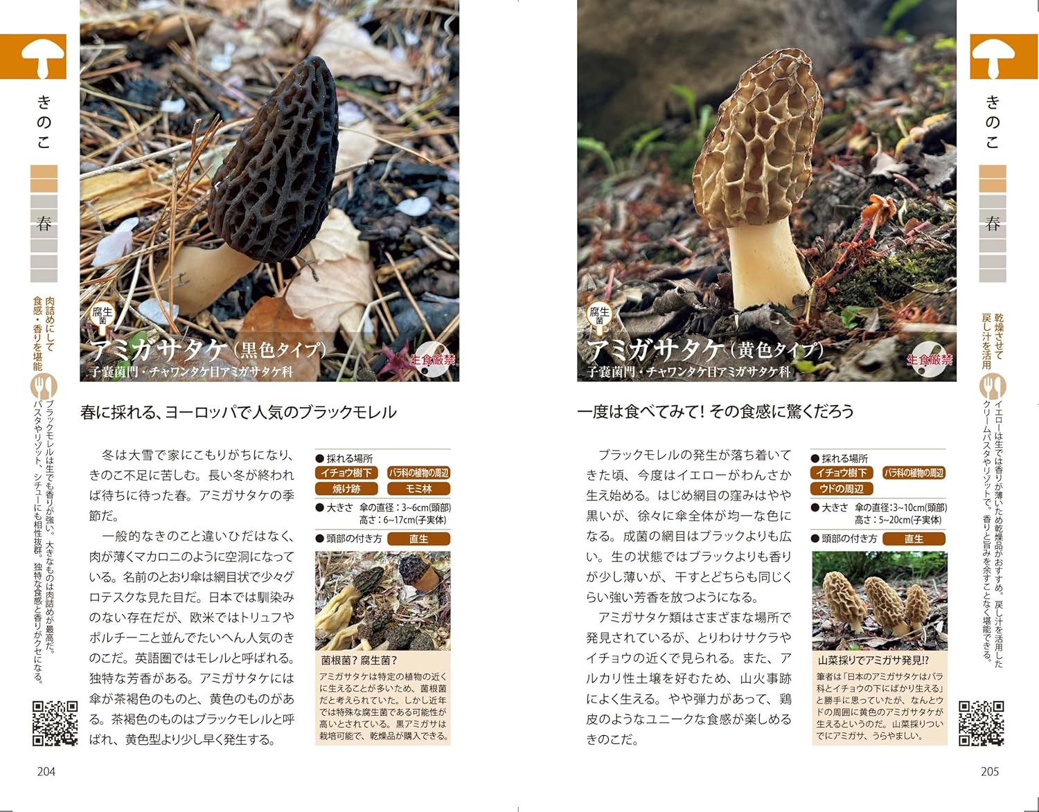 野草・山菜・きのこ図鑑 - 株式会社日本文芸社