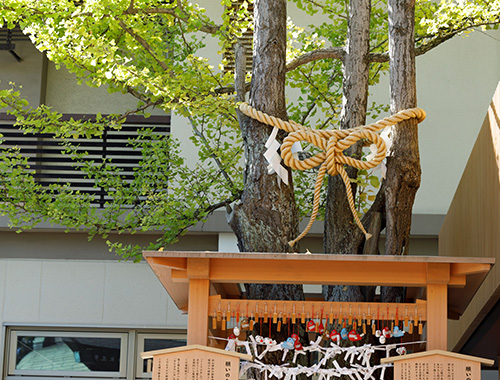 白山神社の神様｜白山神社について｜新潟総鎮守 白山神社