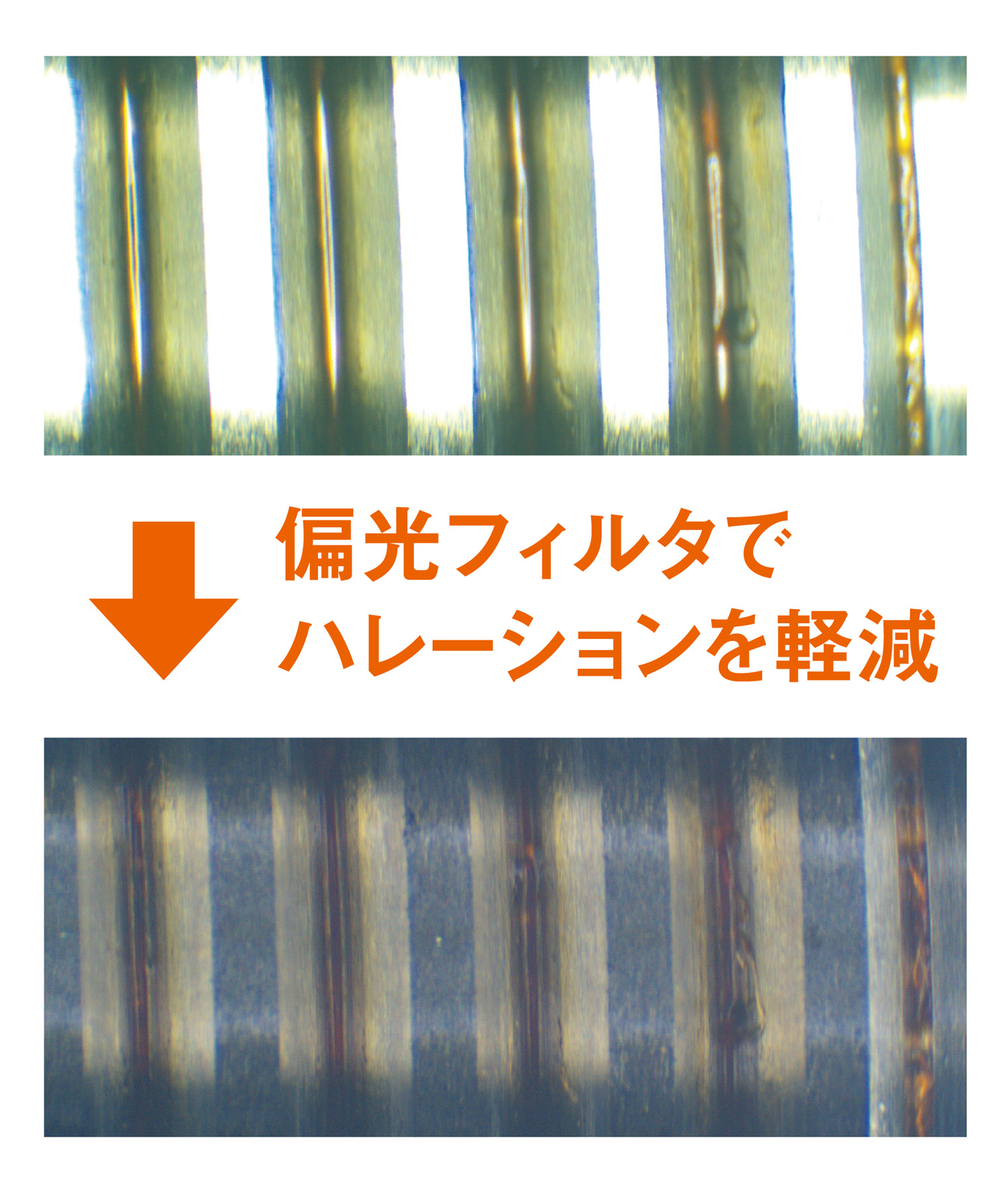 製品情報｜LEDリング照明装置 偏光フィルタ付｜新潟精機株式会社｜新潟