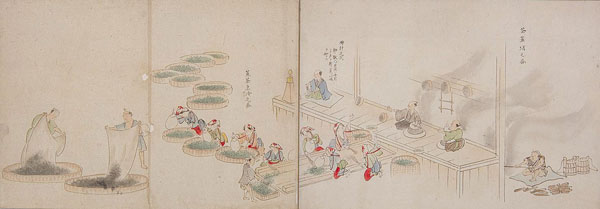 宇治製茶始末絵図帖（うじせいちゃしまつえずじょう） - 本・資料を