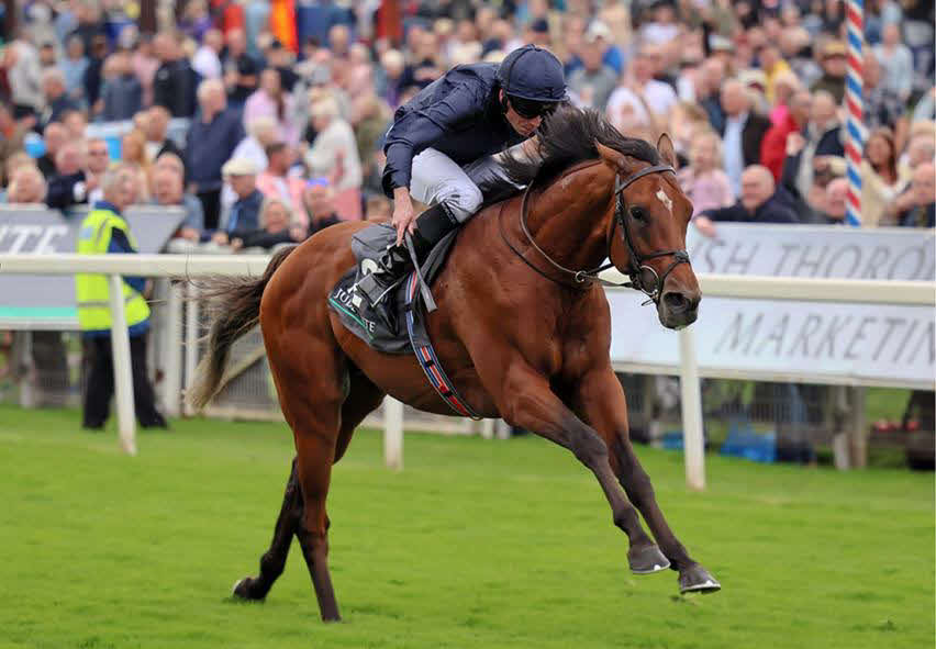 発表！シティオブトロイはBCクラシックがラストランに…来年から