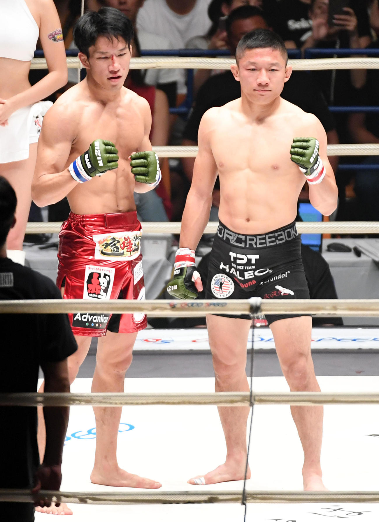 朝倉海が金星2冠王者堀口恭司にKO勝ち「感謝」 - 格闘技 : 日刊スポーツ