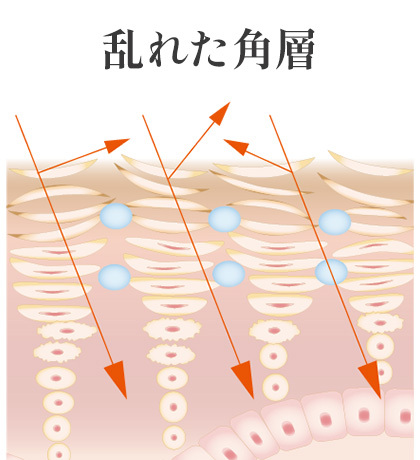 ヴィブラン 2ステップセット＜基本の輝く透明感・うるおいケア
