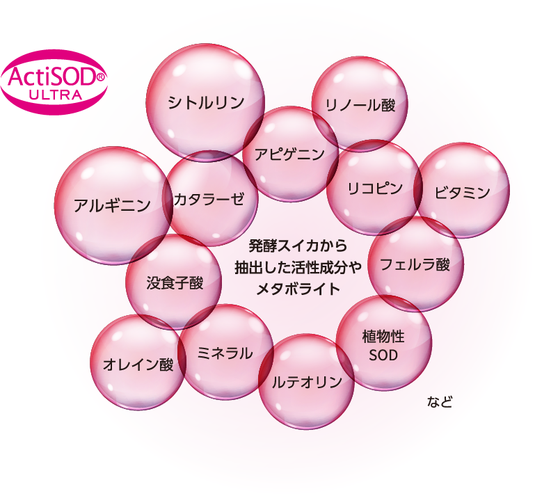 アクティアージュ パスティーク ＋＜ハリ・うるおいジェル＞ | 洗顔