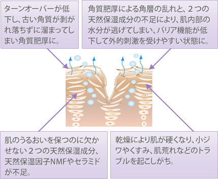 デマキヤン アセニール＜クレンジング＞ | 洗顔石鹸・エイジングケアの