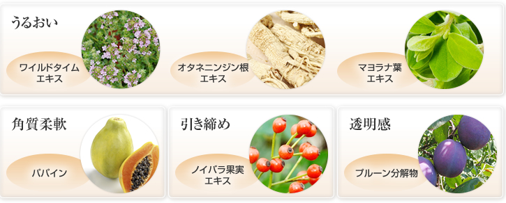 デマキヤン アセニール＜クレンジング＞ | 洗顔石鹸・エイジングケアの