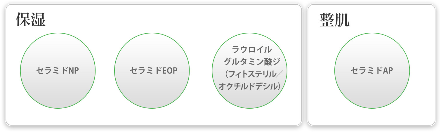 クリーム レボリューション B-1789＜スペシャルケアクリーム＞ | 洗顔