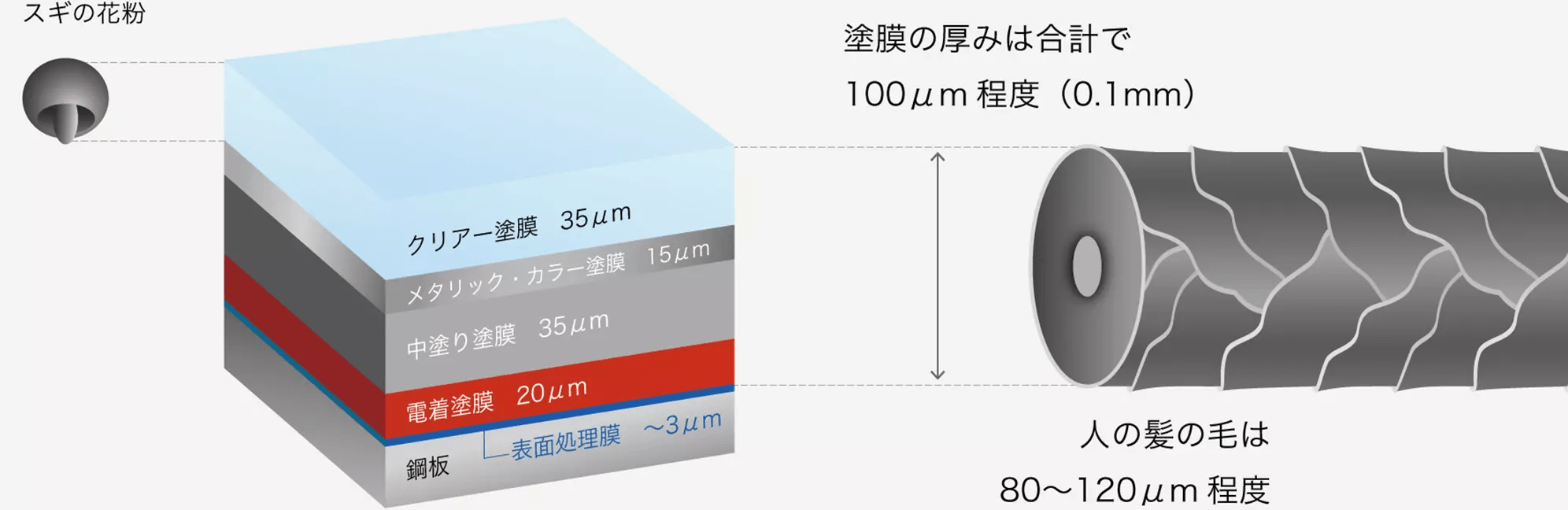 塗料の魅力と市場成長性 | 日本ペイントホールディングス