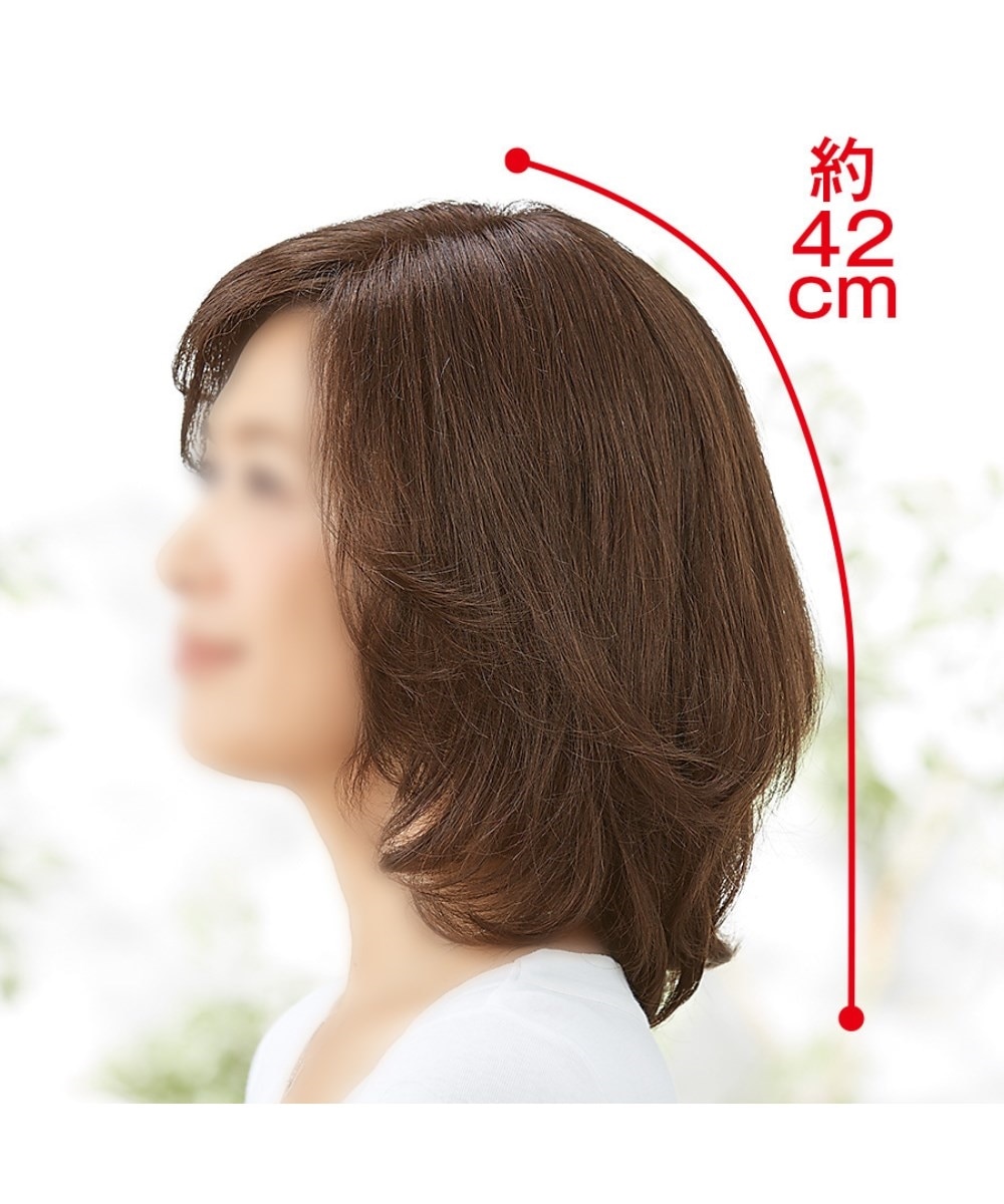 アートネイチャー 生え際ナチュラル 人毛100％フルウィッグ
