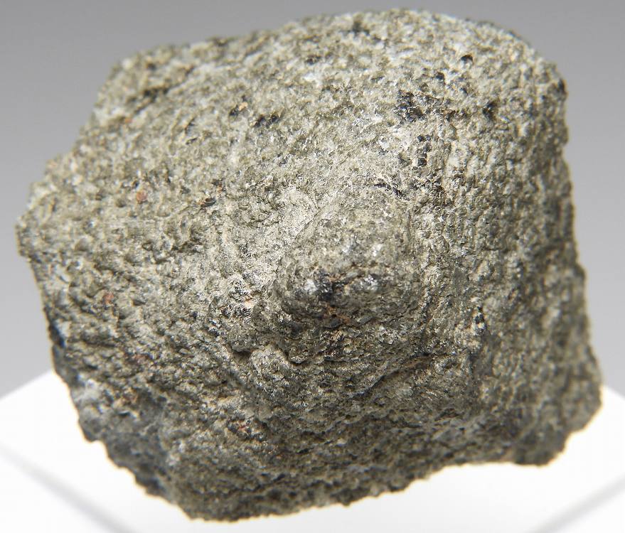 NWA 12564 火星隕石(Shergottite) 891 31.37g - 鉱物標本・隕石標本