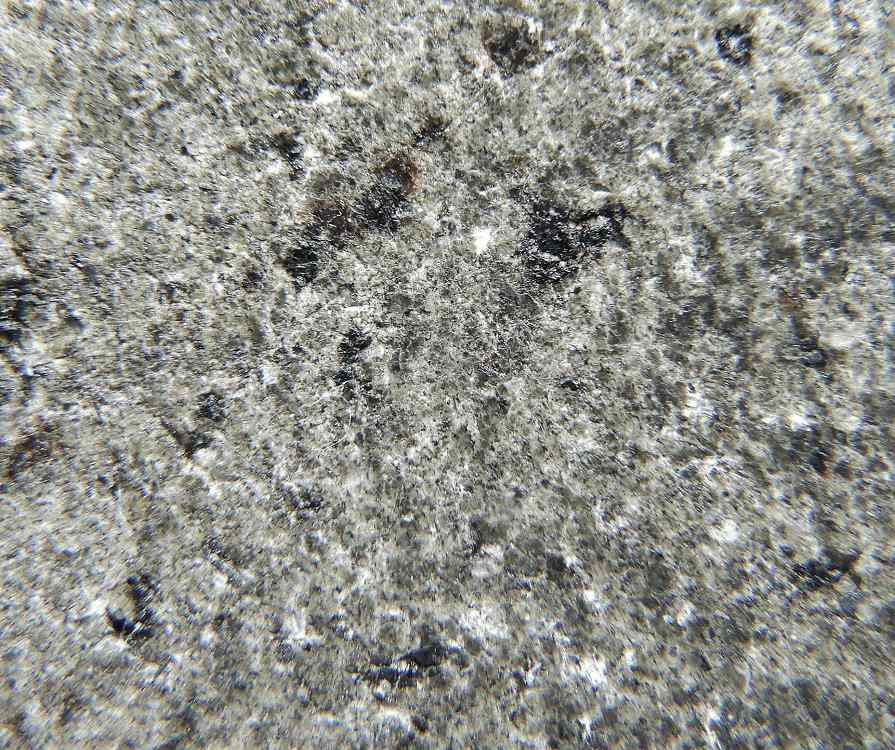 NWA 12564 火星隕石(Shergottite) 894 49.63g - 鉱物標本・隕石標本