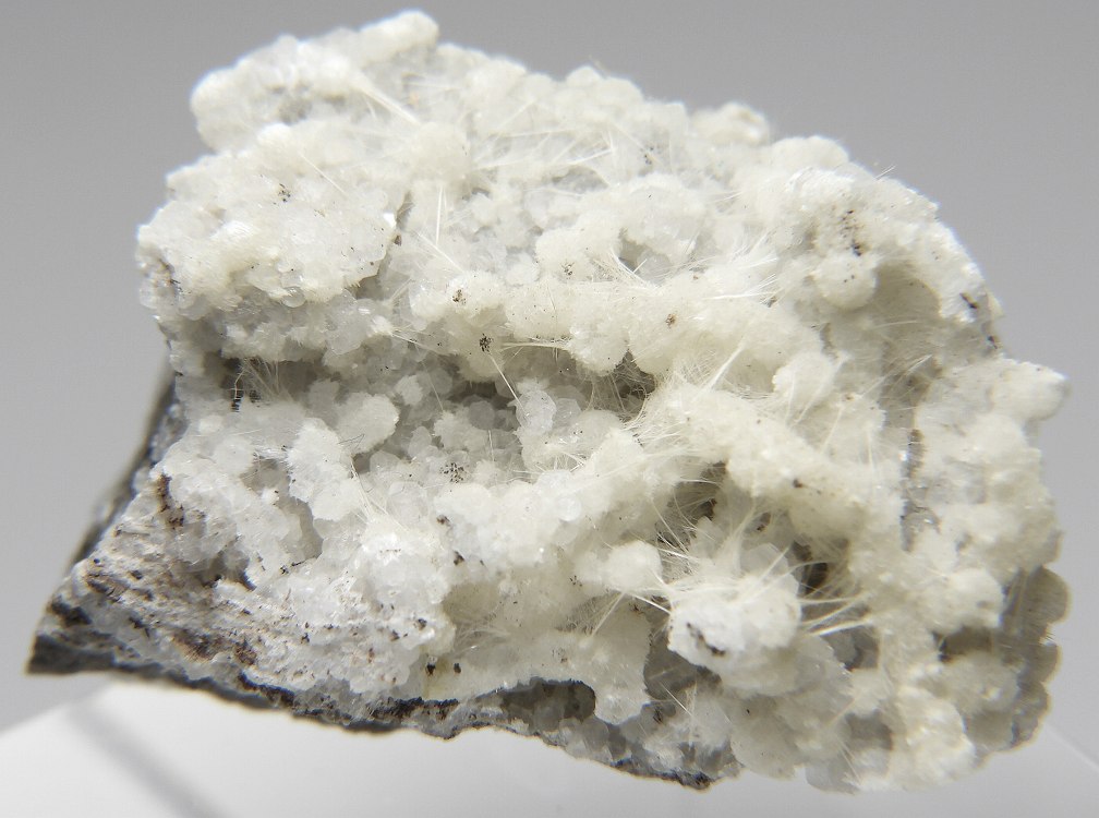 トムソン沸石/中沸石 460 オレゴン州 - 鉱物標本・隕石標本販売のWeb