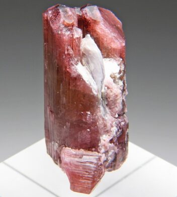 トルマリン の商品一覧- 鉱物標本・隕石標本販売のWeb専門店 エヌズ