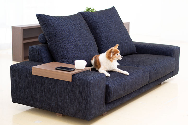 NOYESソファを知ろう -硬めの座り心地編-」| NOYESソファマガジン