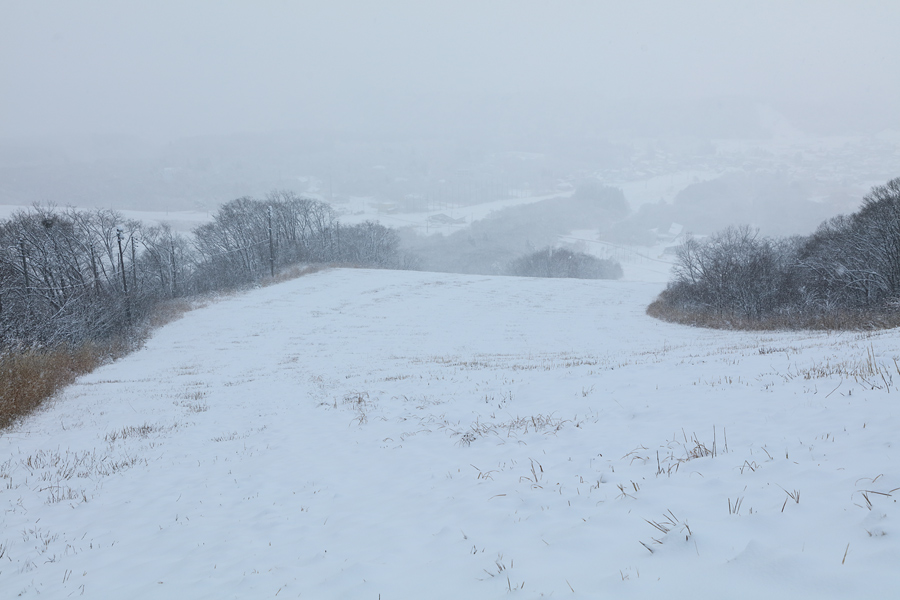 栂池高原 25cm / 雪 | Snownavi - スノーナビ