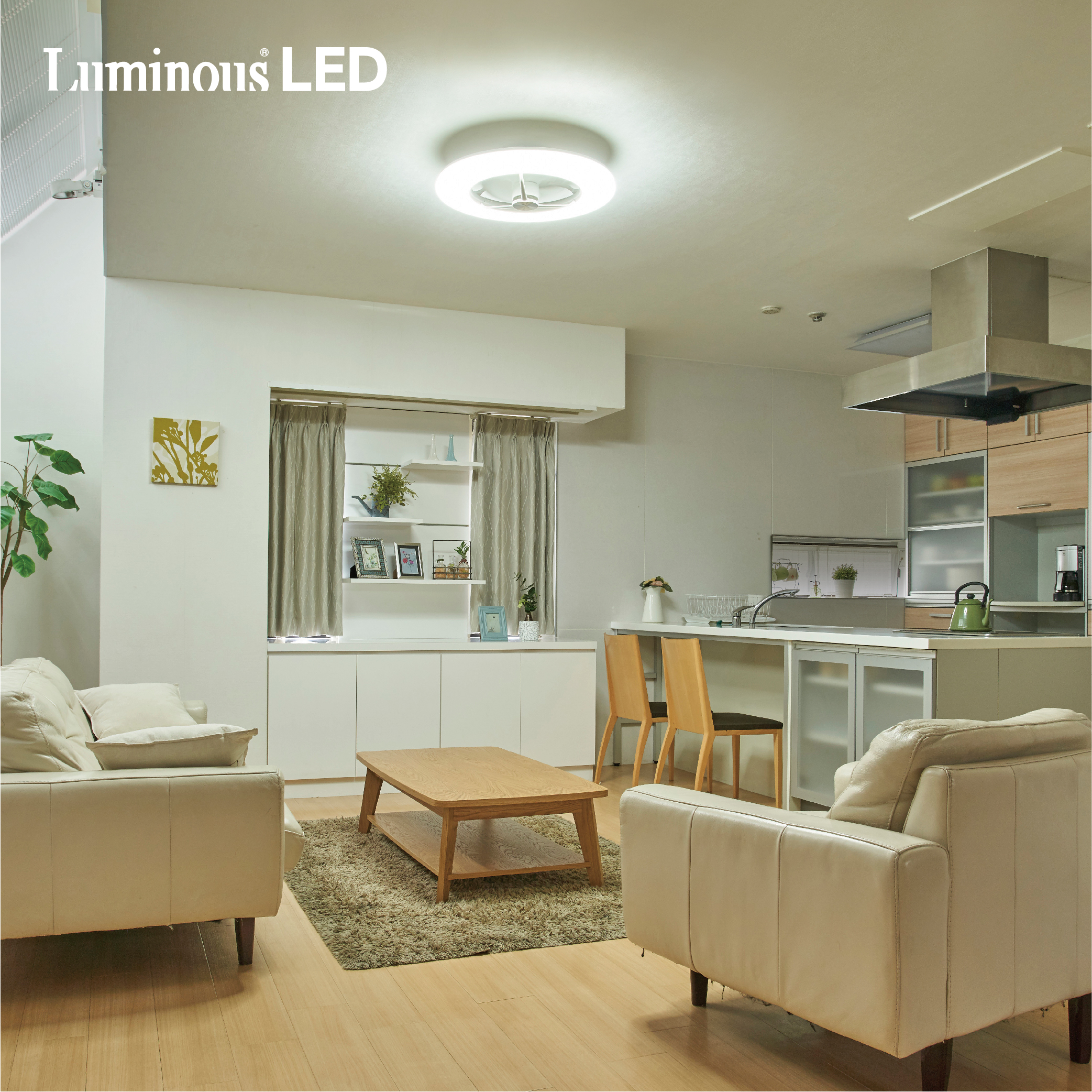 DCC-08CM シーリングファン Luminous（ルミナス） [リモコン付き /8畳