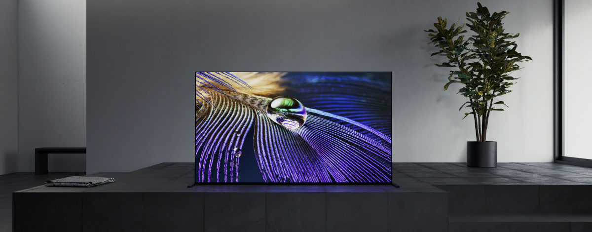 11/11のみ特別価格⭐️約2年保証付⭐️ SONY有機ELテレビXRJ65A90J 11