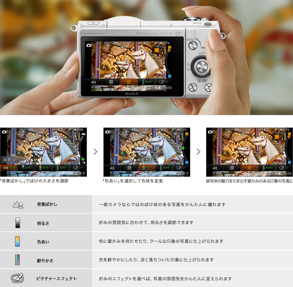 α5000 特長 : カメラまかせで簡単きれい | デジタル一眼カメラα