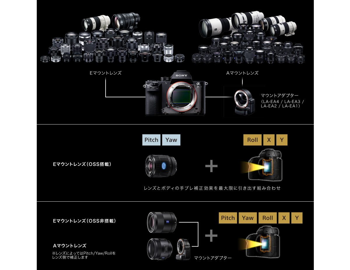 α7S II 特長 : 光学式5軸ボディ内手ブレ補正 | デジタル一眼カメラα