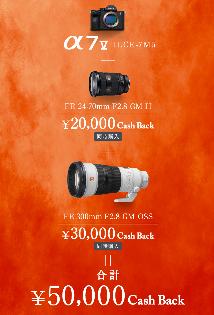 α7 V発売記念キャンペーン | ソニー