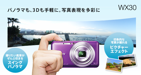 DSC-WX30 特長 : 先進の撮影機能 | デジタルスチルカメラ Cyber-shot