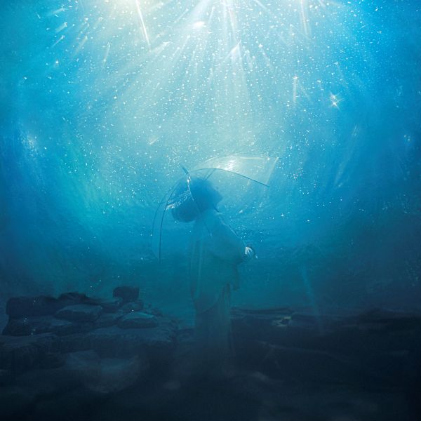 海いっぱいに降りしきる星 | Aqua Timez | ソニーミュージック