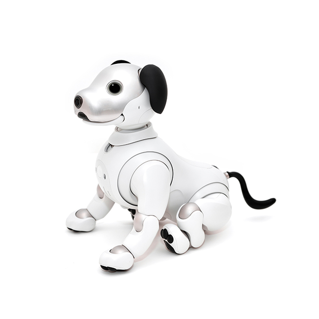 aibo 耳&しっぽ ｽﾐ[ﾌﾞﾗｯｸ]・ｳﾞｧﾘｱｽ | Sony Music Shop・CD・DVD