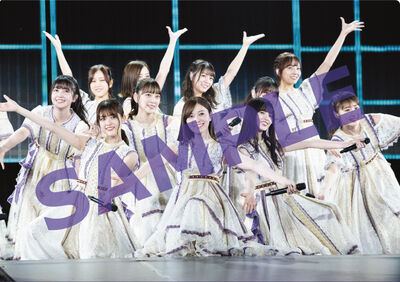 8th YEAR BIRTHDAY LIVE【完全生産限定盤】[DVD]・乃木坂46 | Sony
