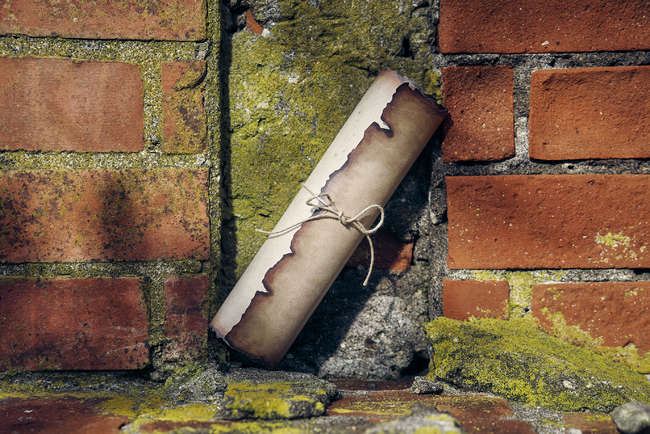 勇者 【完全生産限定盤】・YOASOBI | Sony Music Shop・CD・DVD