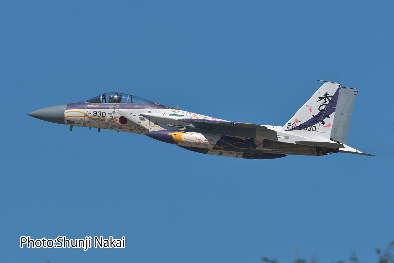 1/72 航空自衛隊 F-15J イーグル 第306飛行隊 2024 小松基地航空祭