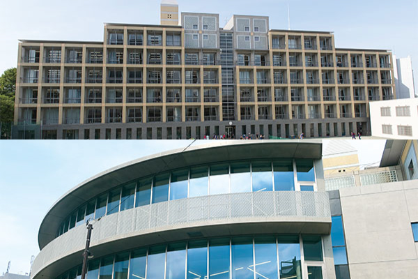 創立者の思いを乗せて語り継がれる桜の物語 創立150年 - 跡見学園