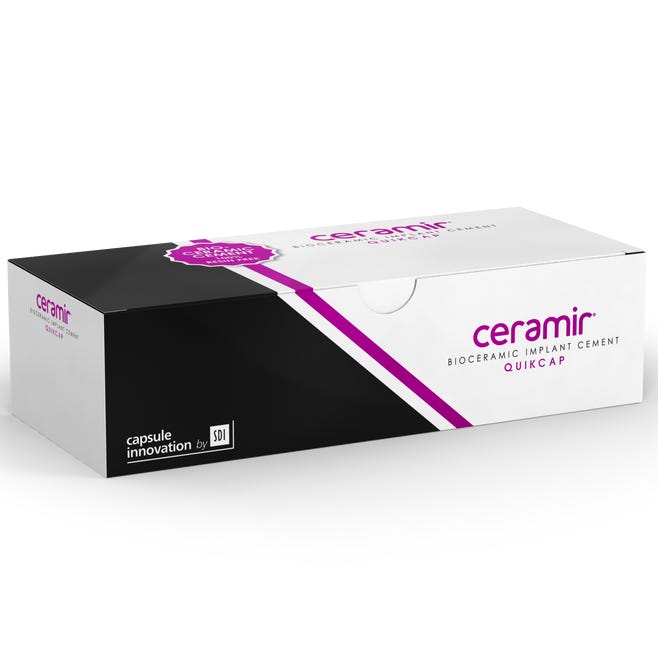 健康・医学 BIOCERAM POROUS IMPLANT Architectural control and