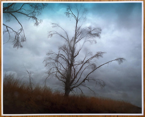 Buy A Road Divided Special Edition by Todd Hido online with print