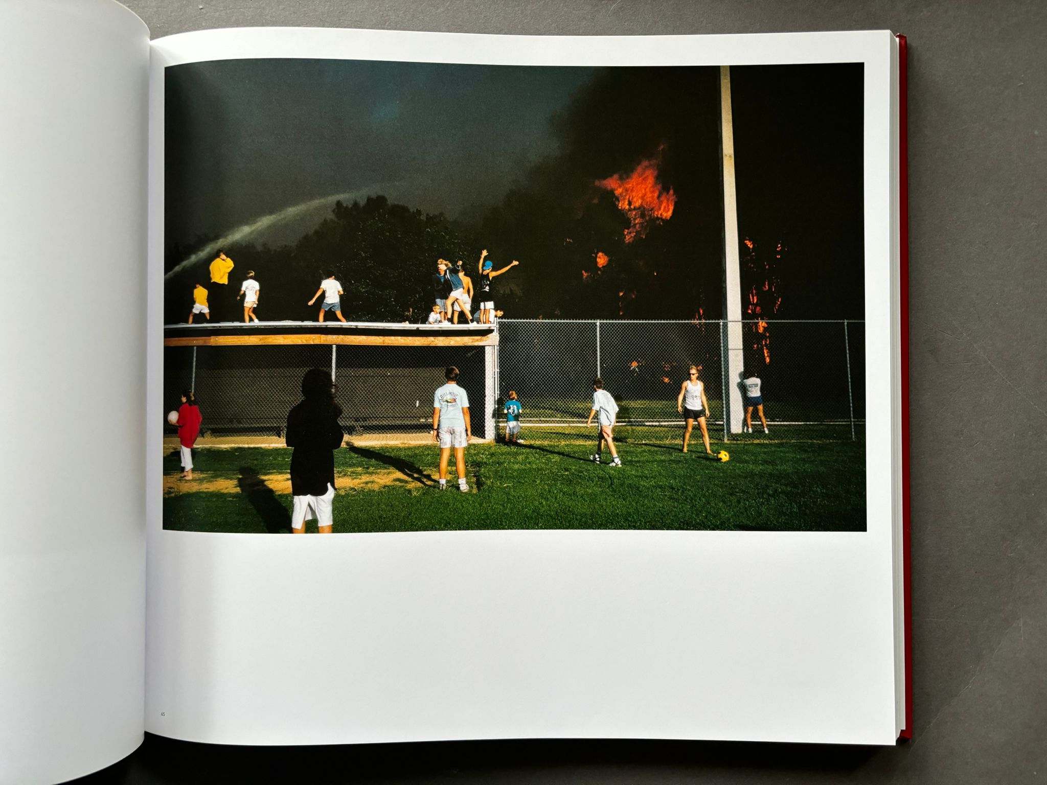 Buy The Suffering of Light: Thirty Years of Photographs by Alex