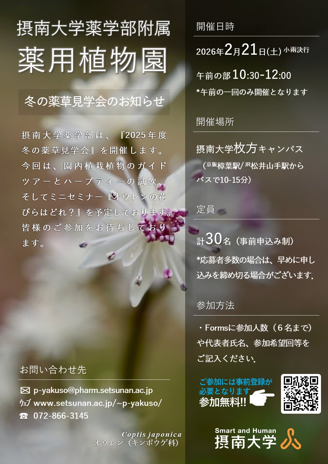 摂大薬草園 Setsunan Garden