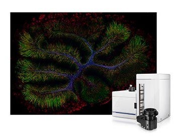 顕微鏡・イメージング装置 - MOUSECELL
