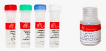 サンガーシークエンス用試薬 QuantumSeq™ QuantumDye™ Terminator