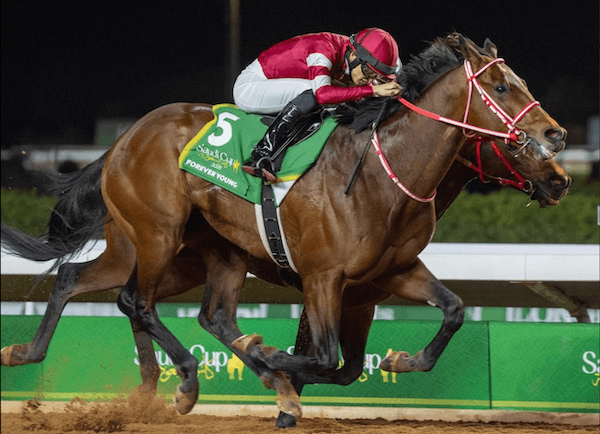 サイバーエージェントの藤田晋氏が馬主登録からたった4年で世界最高