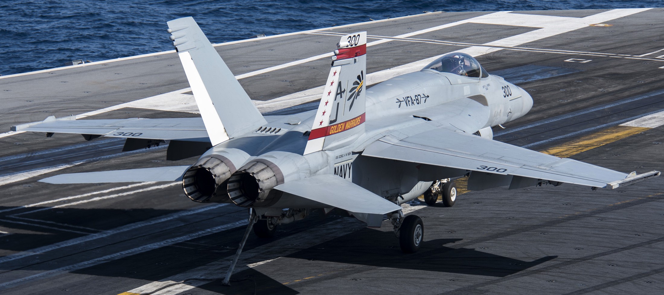 VFA-87 Golden Warriors Strike Fighter Squadron US Navy