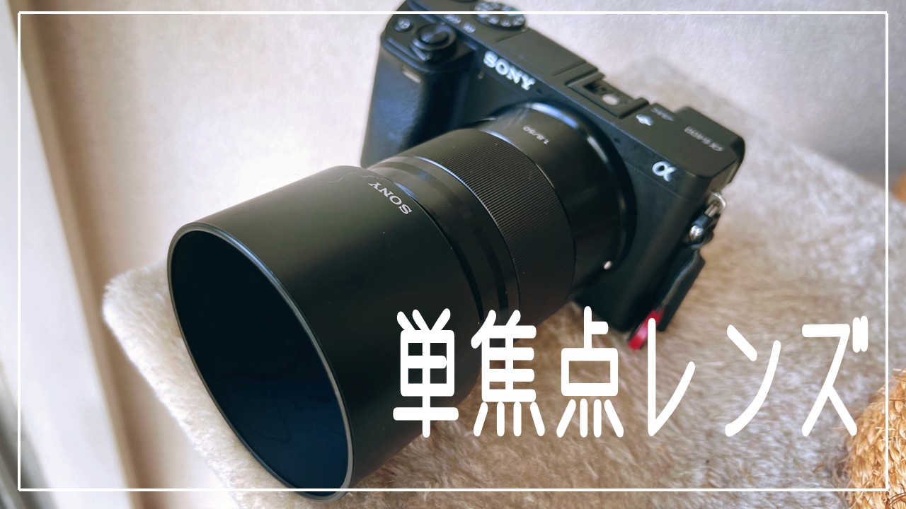 a11b4bb3ba448d1fa402ac3dc62cc9