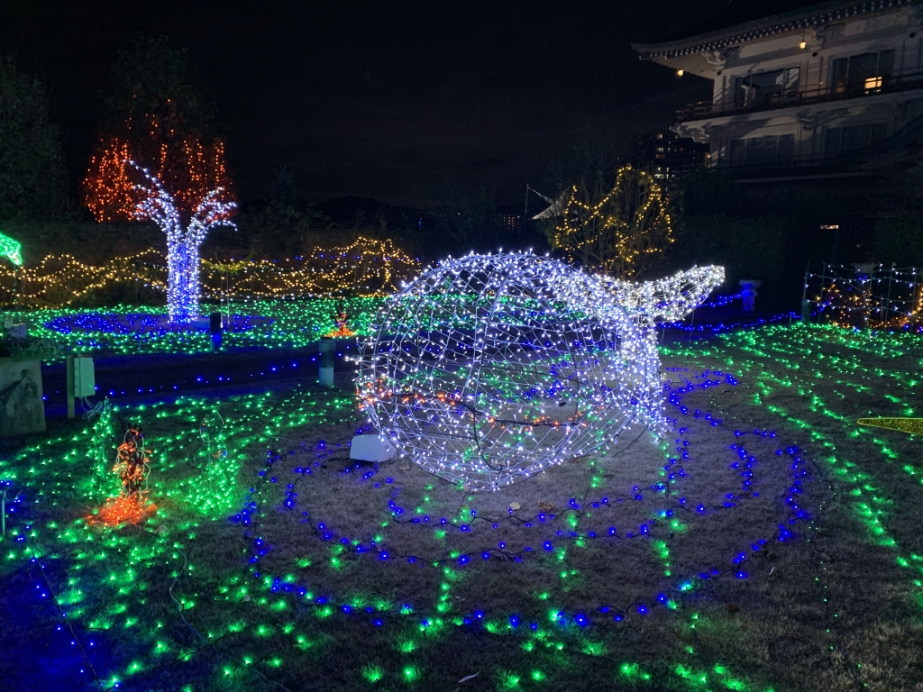 新聞掲載】「海の生き物 きらめく陸」京都新聞（2022年12月1日