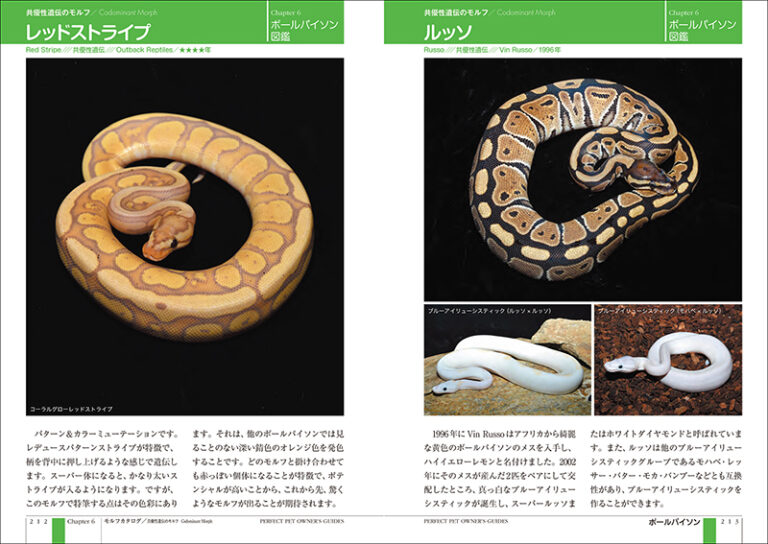 ボールパイソン完全飼育 | 株式会社誠文堂新光社