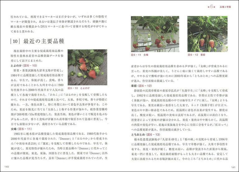 イチゴの基礎知識 | 株式会社誠文堂新光社