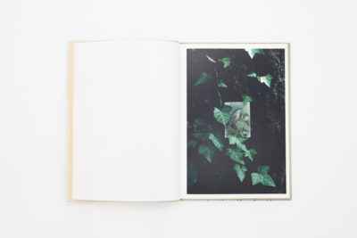 BIRDS｜青幻舎 SEIGENSHA Art Publishing, Inc.